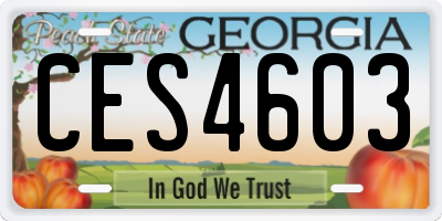 GA license plate CES4603