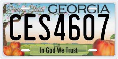 GA license plate CES4607