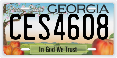 GA license plate CES4608