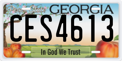 GA license plate CES4613