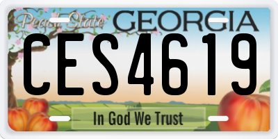 GA license plate CES4619