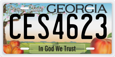 GA license plate CES4623
