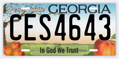 GA license plate CES4643