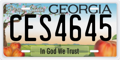 GA license plate CES4645