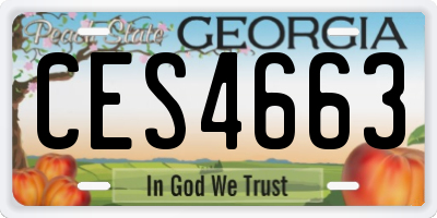 GA license plate CES4663