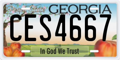 GA license plate CES4667