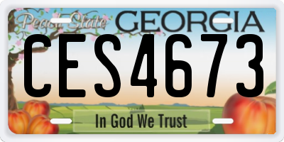 GA license plate CES4673
