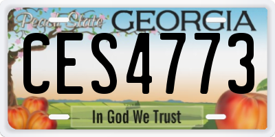 GA license plate CES4773
