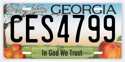 GA license plate CES4799