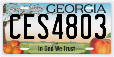 GA license plate CES4803