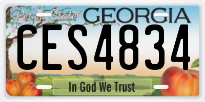 GA license plate CES4834