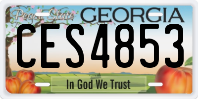 GA license plate CES4853