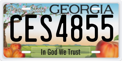 GA license plate CES4855