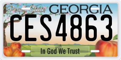 GA license plate CES4863