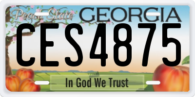 GA license plate CES4875