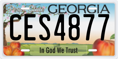 GA license plate CES4877