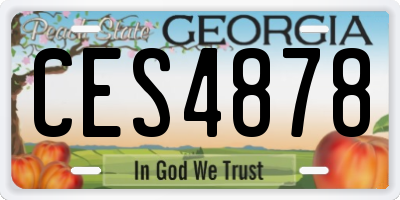 GA license plate CES4878