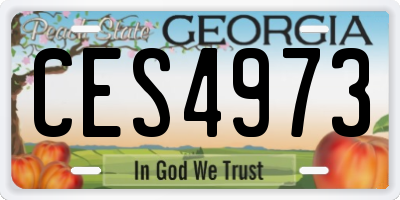 GA license plate CES4973