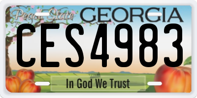 GA license plate CES4983