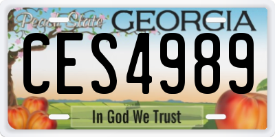 GA license plate CES4989