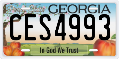 GA license plate CES4993