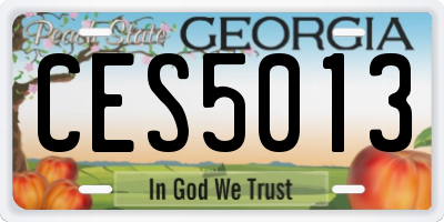 GA license plate CES5013