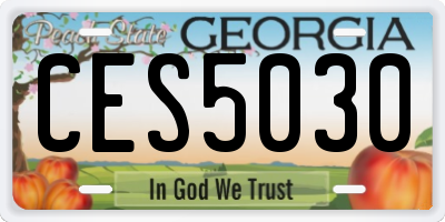GA license plate CES5030