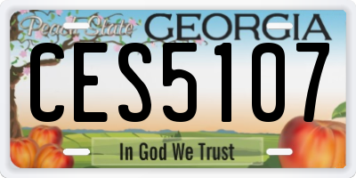 GA license plate CES5107