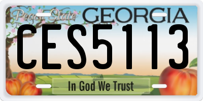 GA license plate CES5113