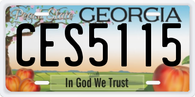 GA license plate CES5115