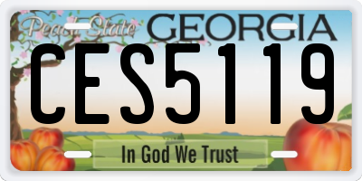 GA license plate CES5119