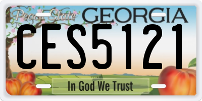 GA license plate CES5121