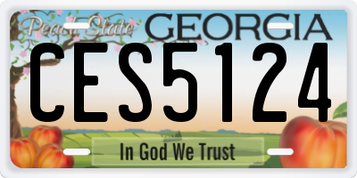GA license plate CES5124