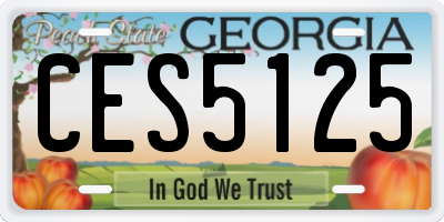 GA license plate CES5125