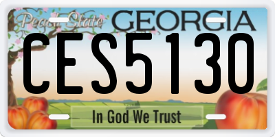GA license plate CES5130