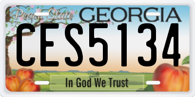 GA license plate CES5134
