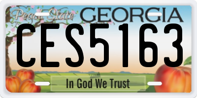 GA license plate CES5163