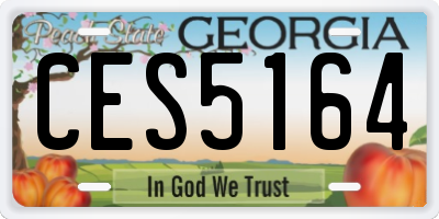 GA license plate CES5164