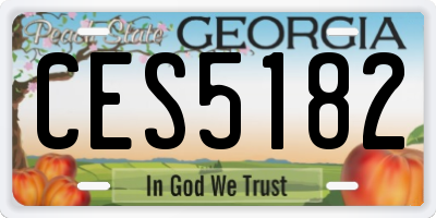 GA license plate CES5182