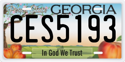 GA license plate CES5193