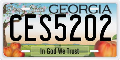 GA license plate CES5202