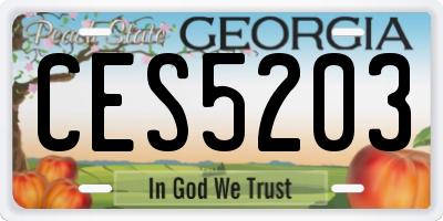 GA license plate CES5203