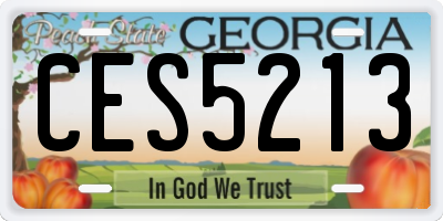 GA license plate CES5213
