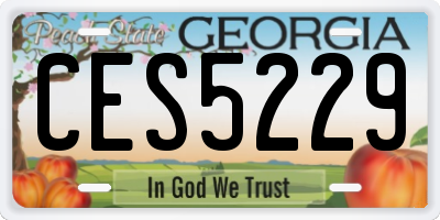 GA license plate CES5229