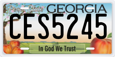 GA license plate CES5245