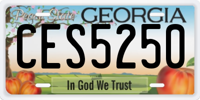 GA license plate CES5250