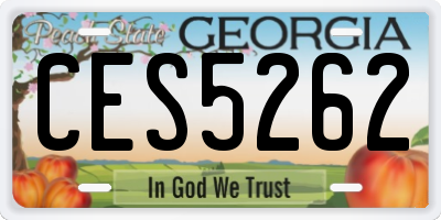 GA license plate CES5262