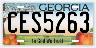 GA license plate CES5263