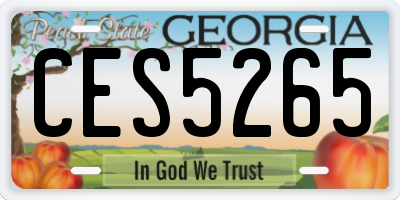 GA license plate CES5265