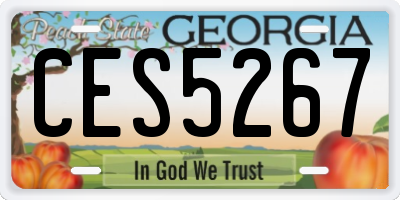 GA license plate CES5267